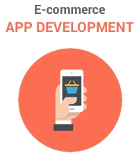 Agnian E-commerce App Development