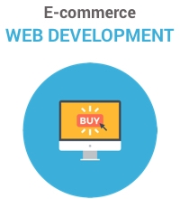 Agnian E-commerce Web Development